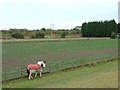 Farmland near River Hull, Thearne