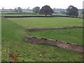 Fields near Charlton Viaduct