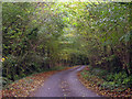 Chilsham Lane in Autumn