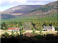 Buildings at Tolvah