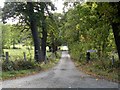 Bridleway, just north of Great Warley