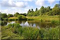 NZ4315 : Ponds, Preston Park by Paul Buckingham