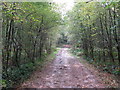 Bridleway climbing up from ford