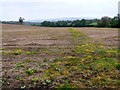 Fields near Fifehead Neville