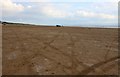 Brean Sands beach