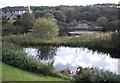 Ornamental ponds by Nairn Golf Club