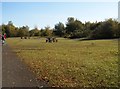 Picnic tables by the Trans Pennine Trail