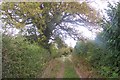 Millpond Lane Byway near Honour Farm