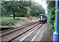 Norwich-bound train passing Brundall Gardens station