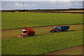 Lifting Beet near Barton Grange