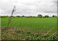 Field north of Easthill Lane