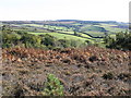 View towards Little Haldon