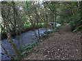 Riverside footpath