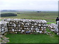 NY7968 : The East Gate at Housesteads Roman Fort by PAUL FARMER