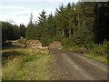 SN7257 : Forestry track and log stack by the Nant y Glog by Nigel Brown