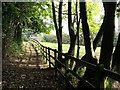 Footpath in autumn