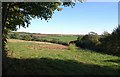 Field near Hartstone Farm