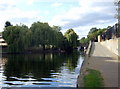 Willows over the water near Old Ford lock