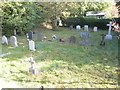 A sunlit churchyard at St Mary Magdalene, West Lavington