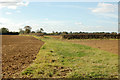 SP4959 : Broad headland between unfenced fields near Northfields Farm by Andy F