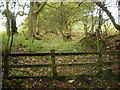 Footpath from Cragg Farm