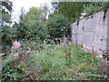 SU6853 : Overgrown garden by Mr Ignavy