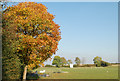 Offchurch Sports Club cricket pitch