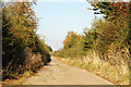 Looking north along the concrete track to East Fields Farm (1)