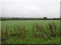 Crosshill Townland