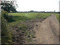 Diverging bridleway