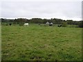 Ballynalough Townland