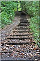 NZ4024 : Steps Through Thorpe Wood by Mick Garratt