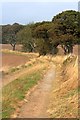 NZ4025 : Footpath and Track to Grindon Cottages by Mick Garratt