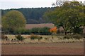 Field Boundaries, Woodend Farm