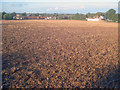 Arable land near West End