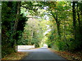 Leafy lane by the entrance to Toddington Manor