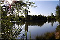 TQ9093 : Lake view Ballards Gore Golf Club by Lesley Williams
