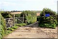 SX1954 : Narrow lane by Hendra farm by roger geach