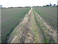 NZ2736 : Footpath from Tudhoe Colliery to A167 by peter robinson