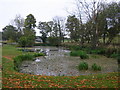 Pond Near Stocken Hall