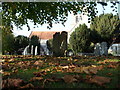 Ringwood : Church of St. Peter and St. Paul Churchyard