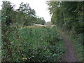 Disused Canal