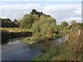 River Trent - south of Stone