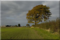 Footpath, Glazebury