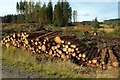 A Log Stack In The Galloway Forest