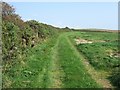 Public footpath and track near the Gann