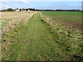 SK5476 : Footpath towards Hall Leys Farm near Hodthorpe by Chris Wimbush