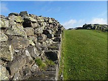 NY6766 : Detail of Hadrian's Wall by Oliver Dixon