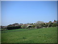 North Anston from the Stones Wood