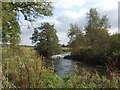 River Trent downstream of Stone